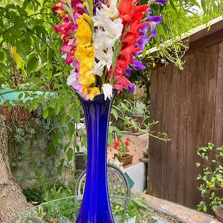 Gasthuis Striano Boutique Capri