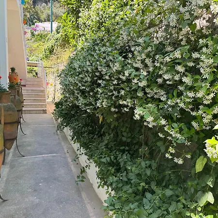 Striano Boutique Gæstehus