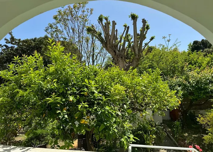 Striano - - Garden&art