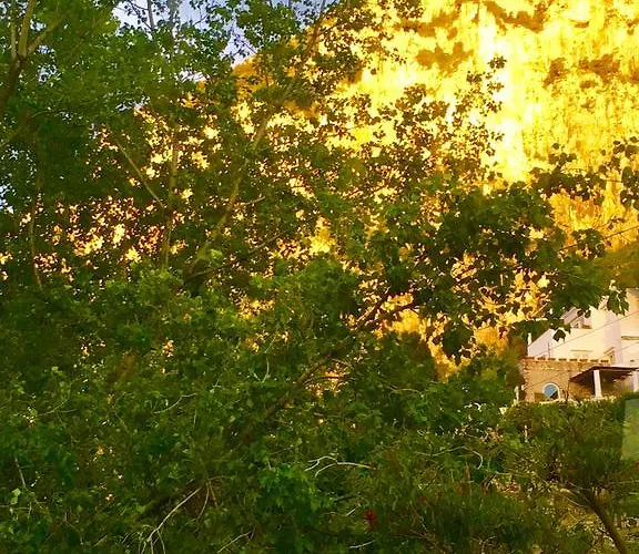 Striano - - Garden&art Capri